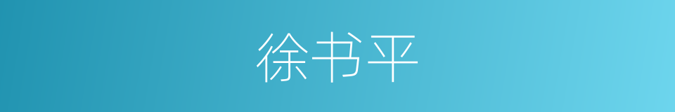 徐书平的同义词