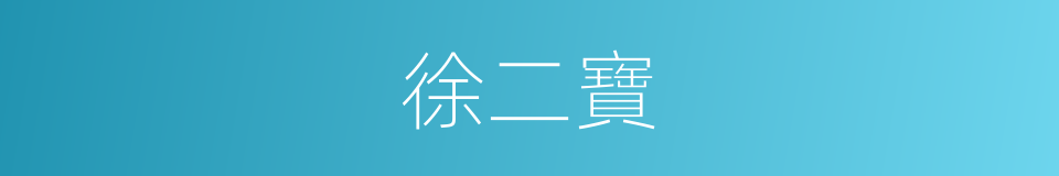 徐二寶的同義詞