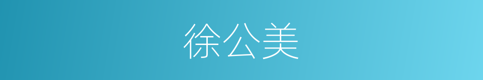徐公美的同义词