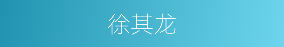 徐其龙的同义词