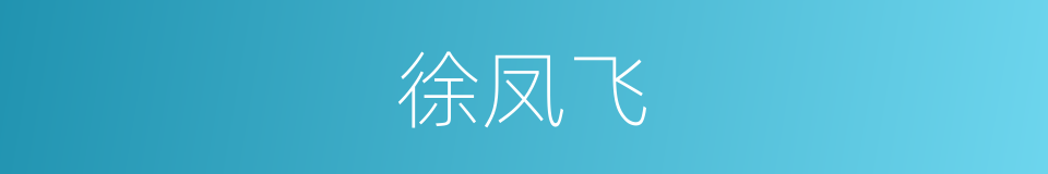 徐凤飞的同义词