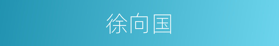 徐向国的同义词