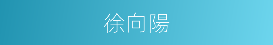 徐向陽的同義詞