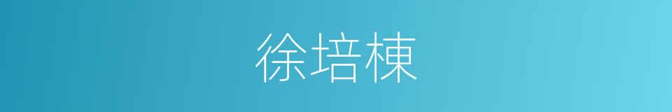 徐培棟的同義詞