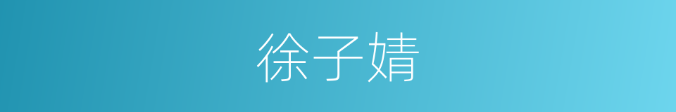 徐子婧的同义词