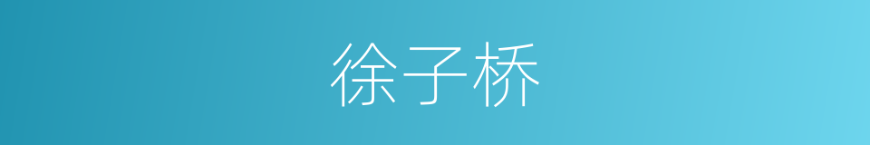 徐子桥的同义词