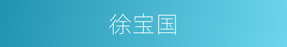 徐宝国的同义词