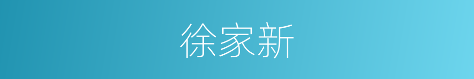 徐家新的同义词
