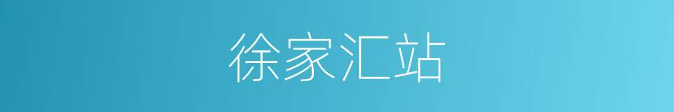 徐家汇站的同义词