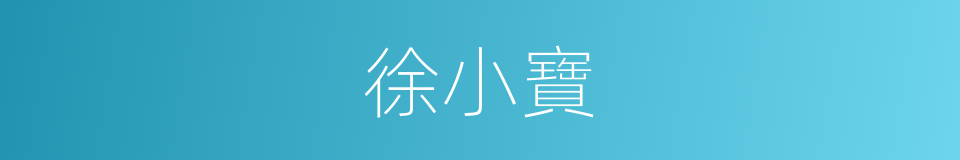 徐小寶的同義詞