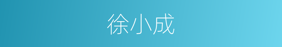 徐小成的同义词