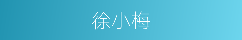 徐小梅的同义词