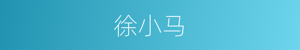 徐小马的同义词