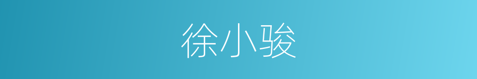 徐小骏的同义词