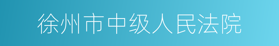 徐州市中级人民法院的同义词