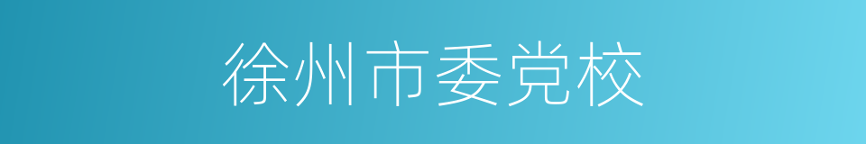 徐州市委党校的同义词