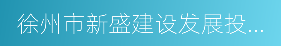 徐州市新盛建设发展投资有限公司的同义词