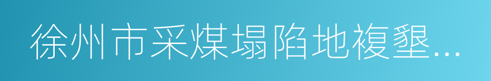 徐州市采煤塌陷地複墾條例的同義詞
