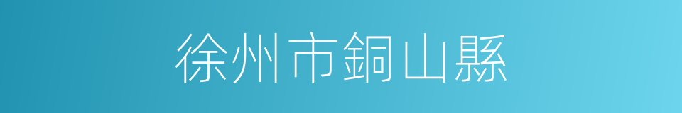 徐州市銅山縣的同義詞