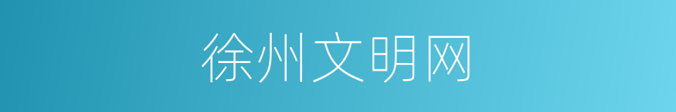 徐州文明网的同义词