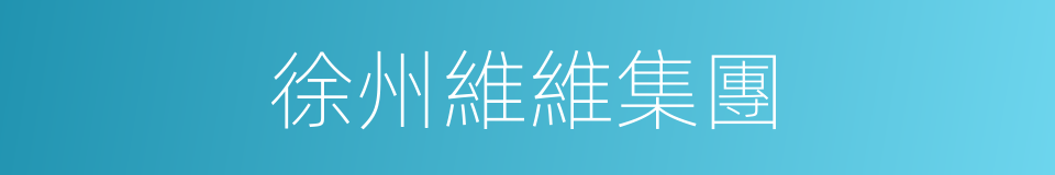 徐州維維集團的同義詞