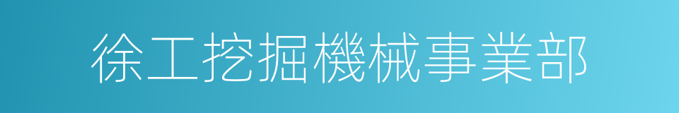 徐工挖掘機械事業部的同義詞