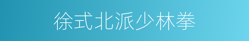 徐式北派少林拳的同义词