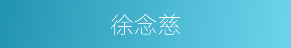 徐念慈的同义词
