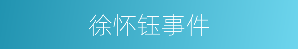 徐怀钰事件的同义词