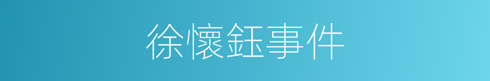 徐懷鈺事件的同義詞