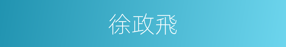 徐政飛的同義詞