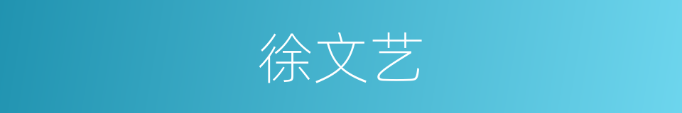 徐文艺的同义词