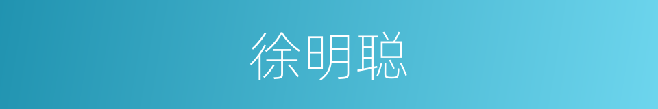 徐明聪的同义词