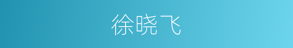 徐晓飞的同义词