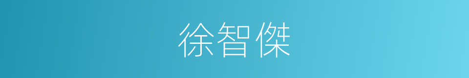 徐智傑的同義詞