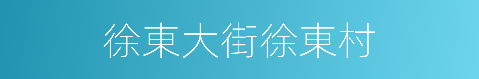 徐東大街徐東村的同義詞