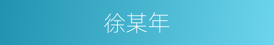 徐某年的同义词