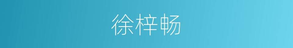 徐梓畅的同义词