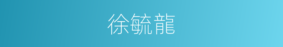 徐毓龍的同義詞