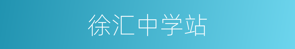 徐汇中学站的同义词
