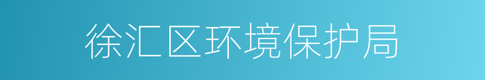 徐汇区环境保护局的同义词