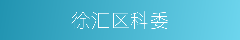 徐汇区科委的同义词