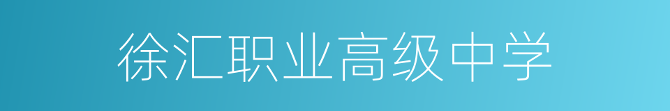 徐汇职业高级中学的同义词