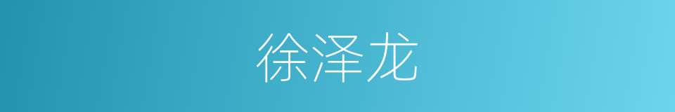 徐泽龙的同义词