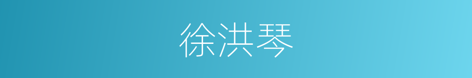 徐洪琴的同义词
