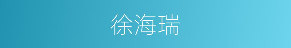 徐海瑞的同义词