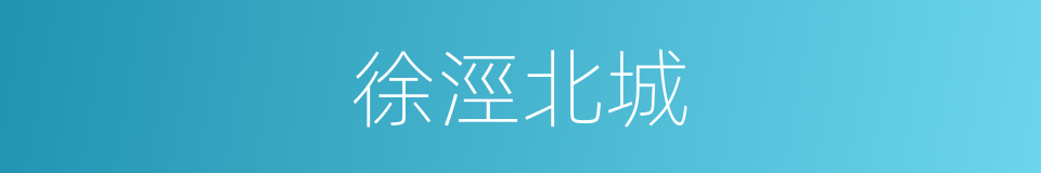 徐涇北城的同義詞