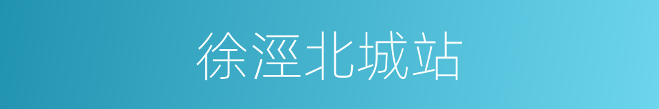 徐涇北城站的同義詞