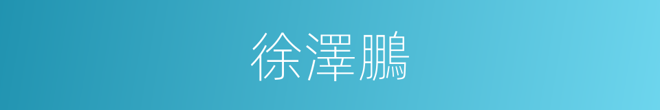 徐澤鵬的同義詞