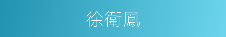 徐衛鳳的同義詞
